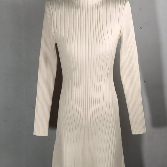 Chic Minimalist Ribbed Knit Dress - Picture 4 of 4